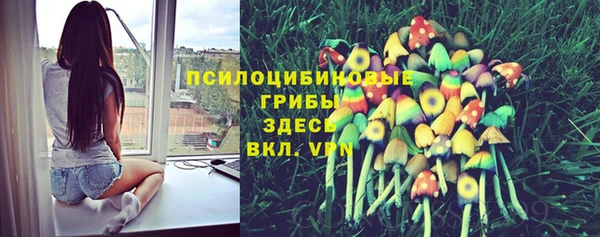 mdpv Верея