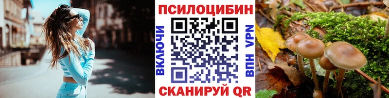Псилоцибиновые грибы MAGIC MUSHROOMS  купить наркоту  Курган 