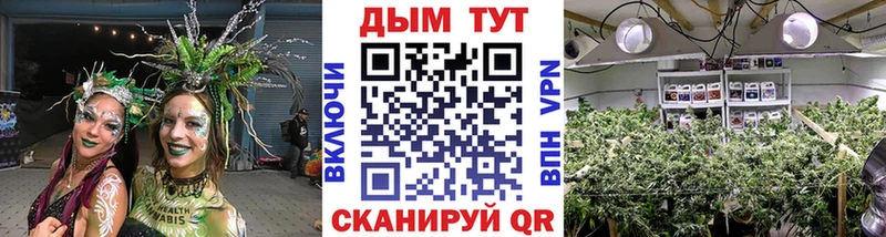 дарнет шоп  blacksprut как войти  Марихуана план  Курган 